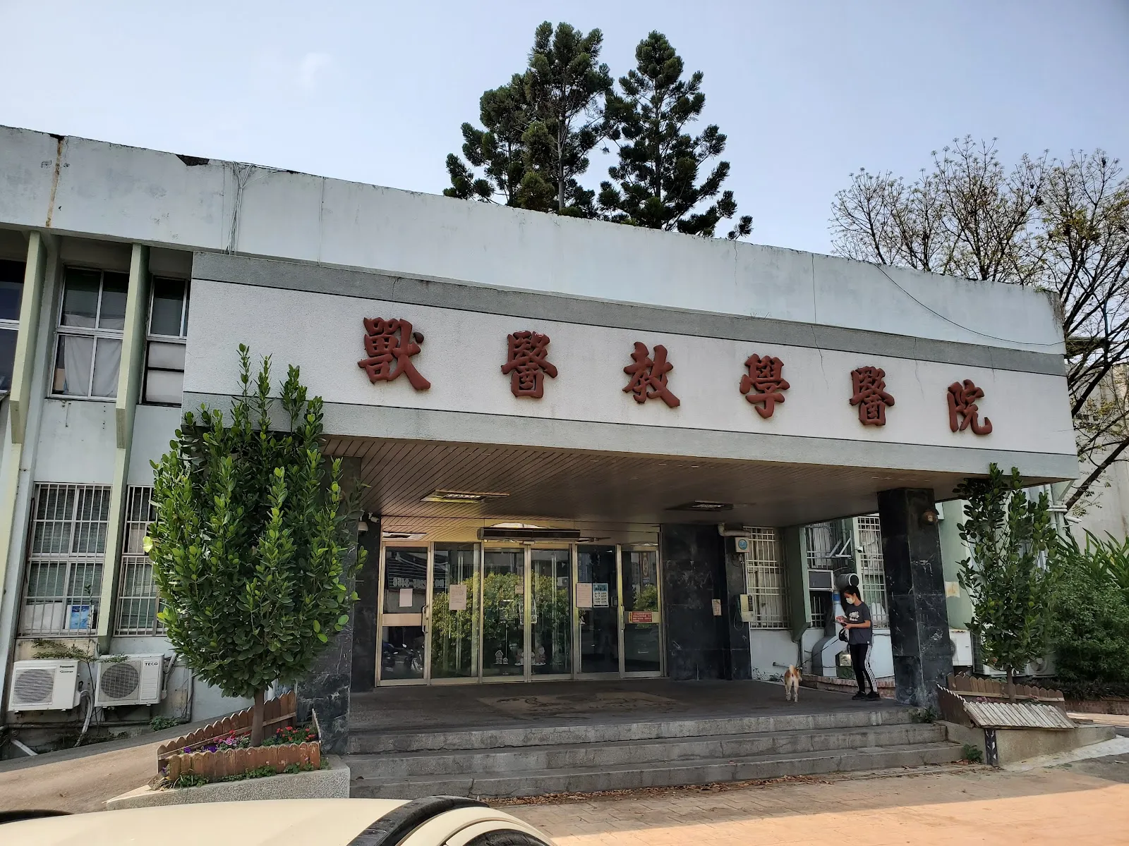 國立中興大學獸醫教學醫院
