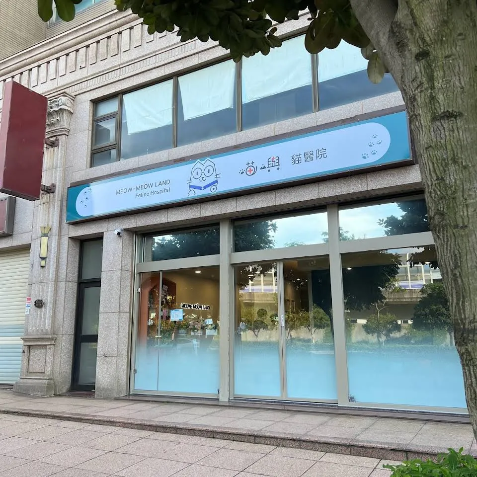喵嶼貓專科醫院