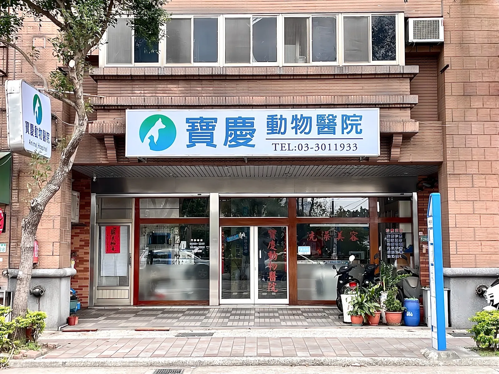 寶慶動物醫院