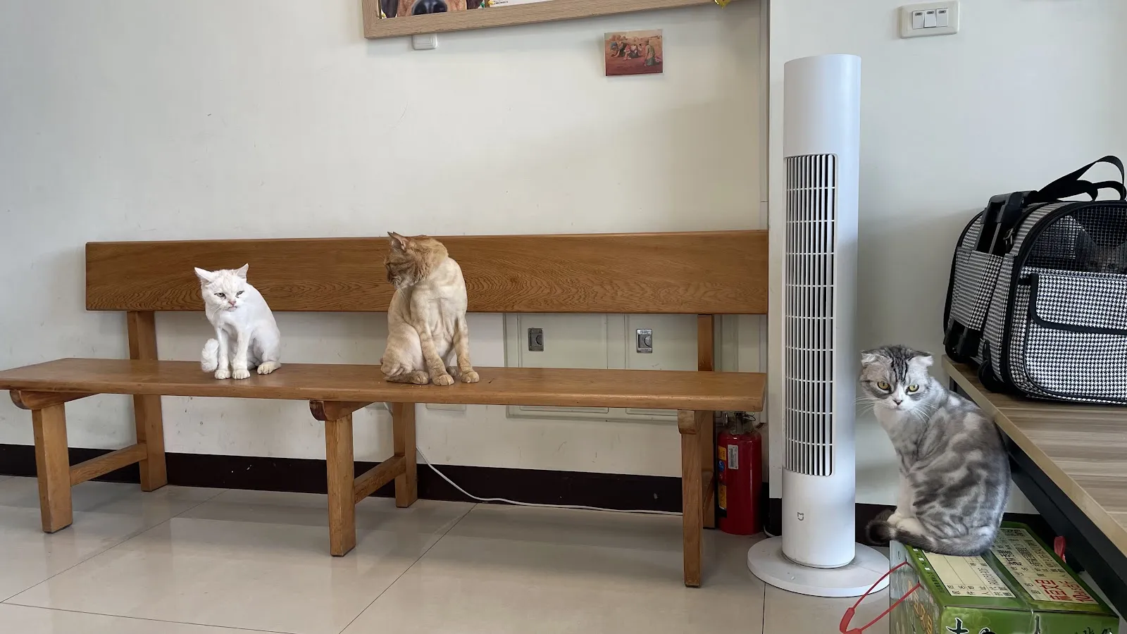 仁美動物醫院