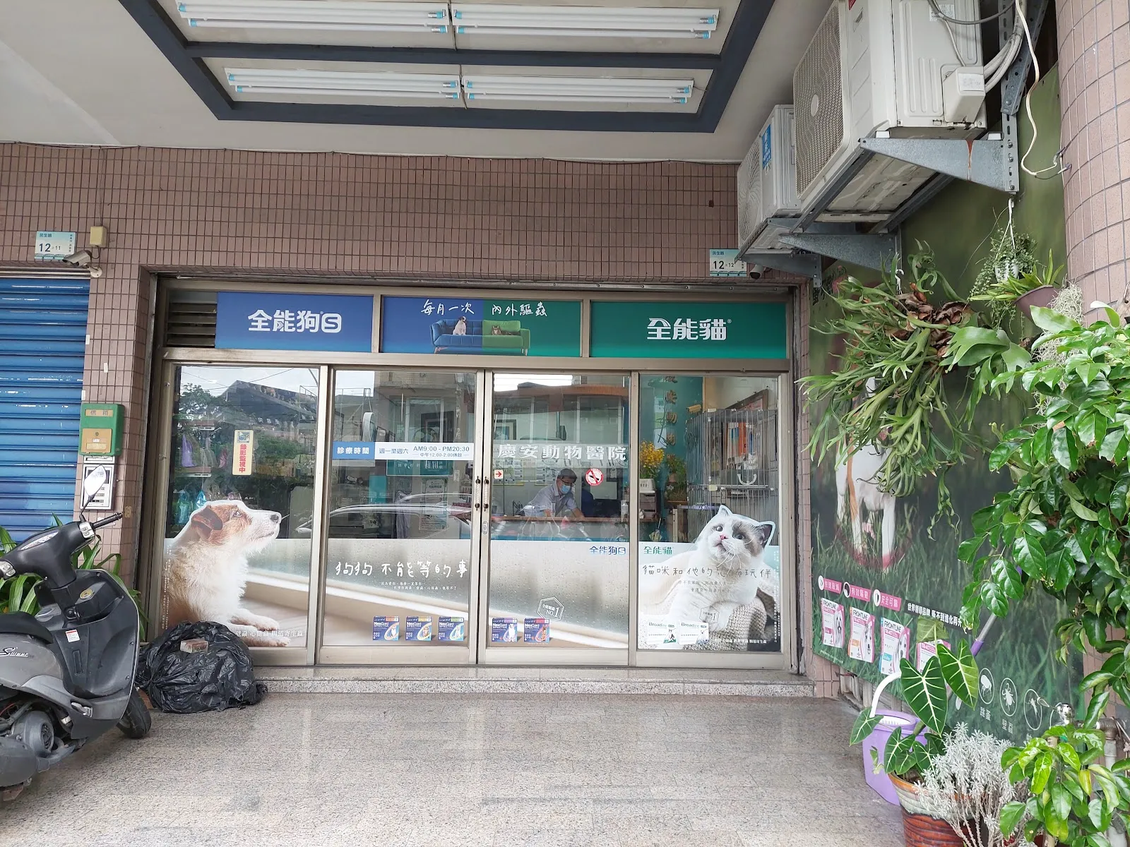 慶安動物醫院