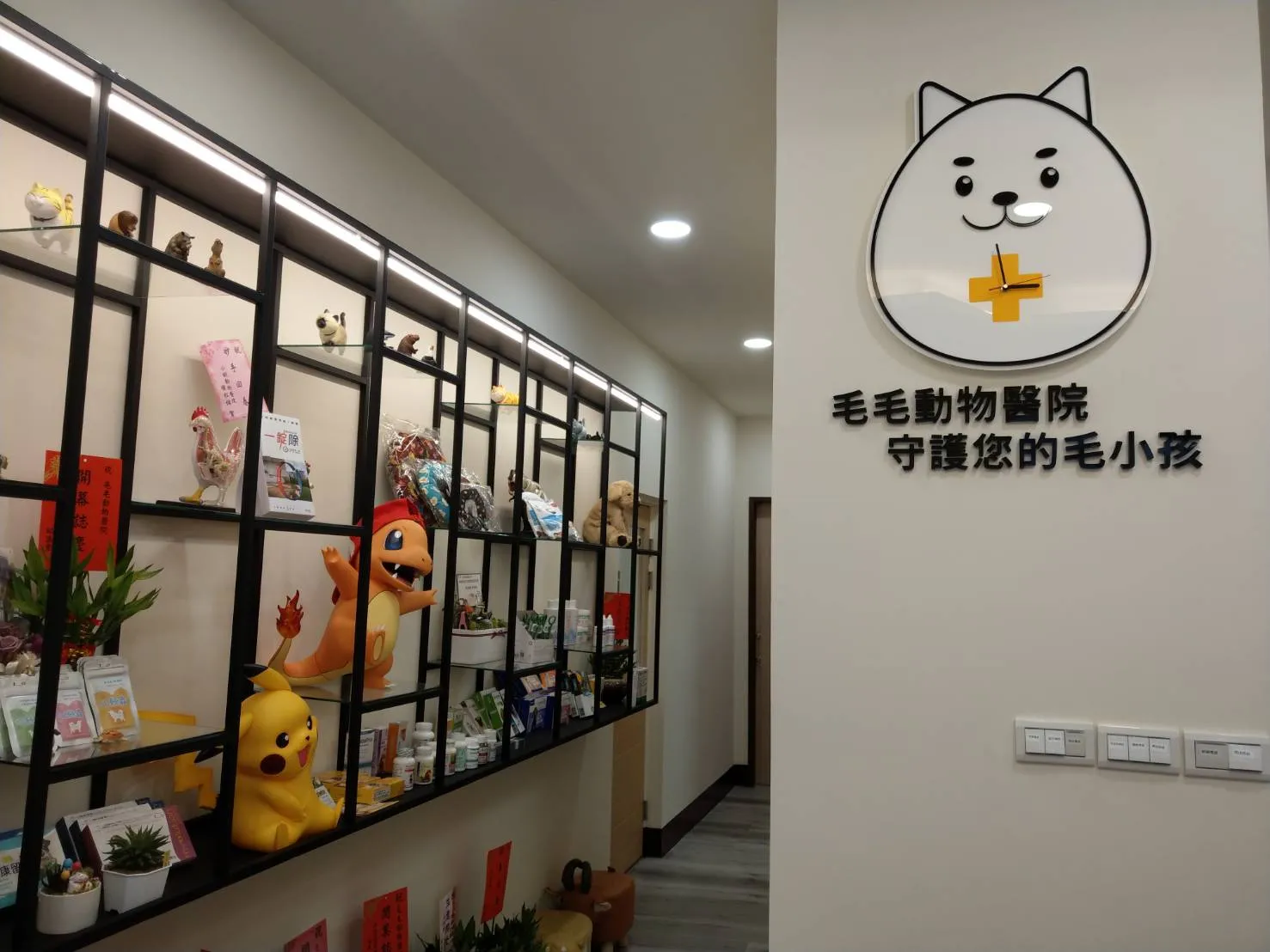 毛毛動物醫院