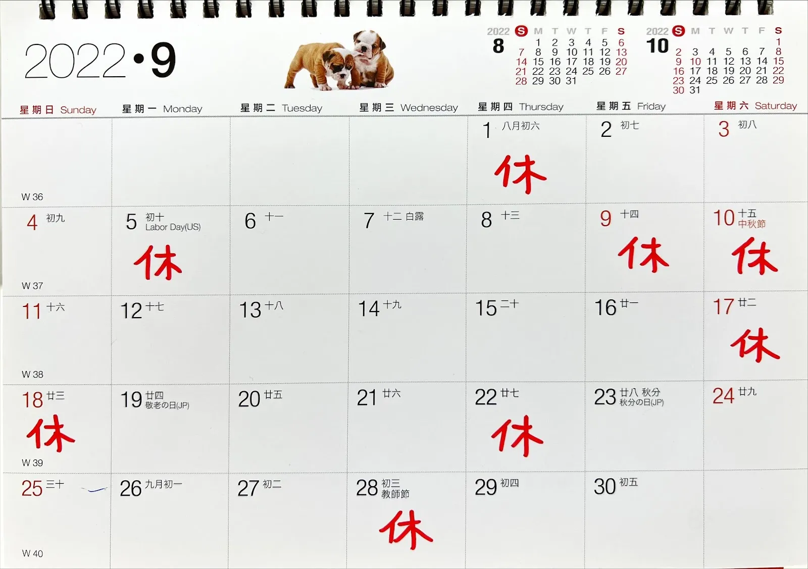 牧羊人動物醫院