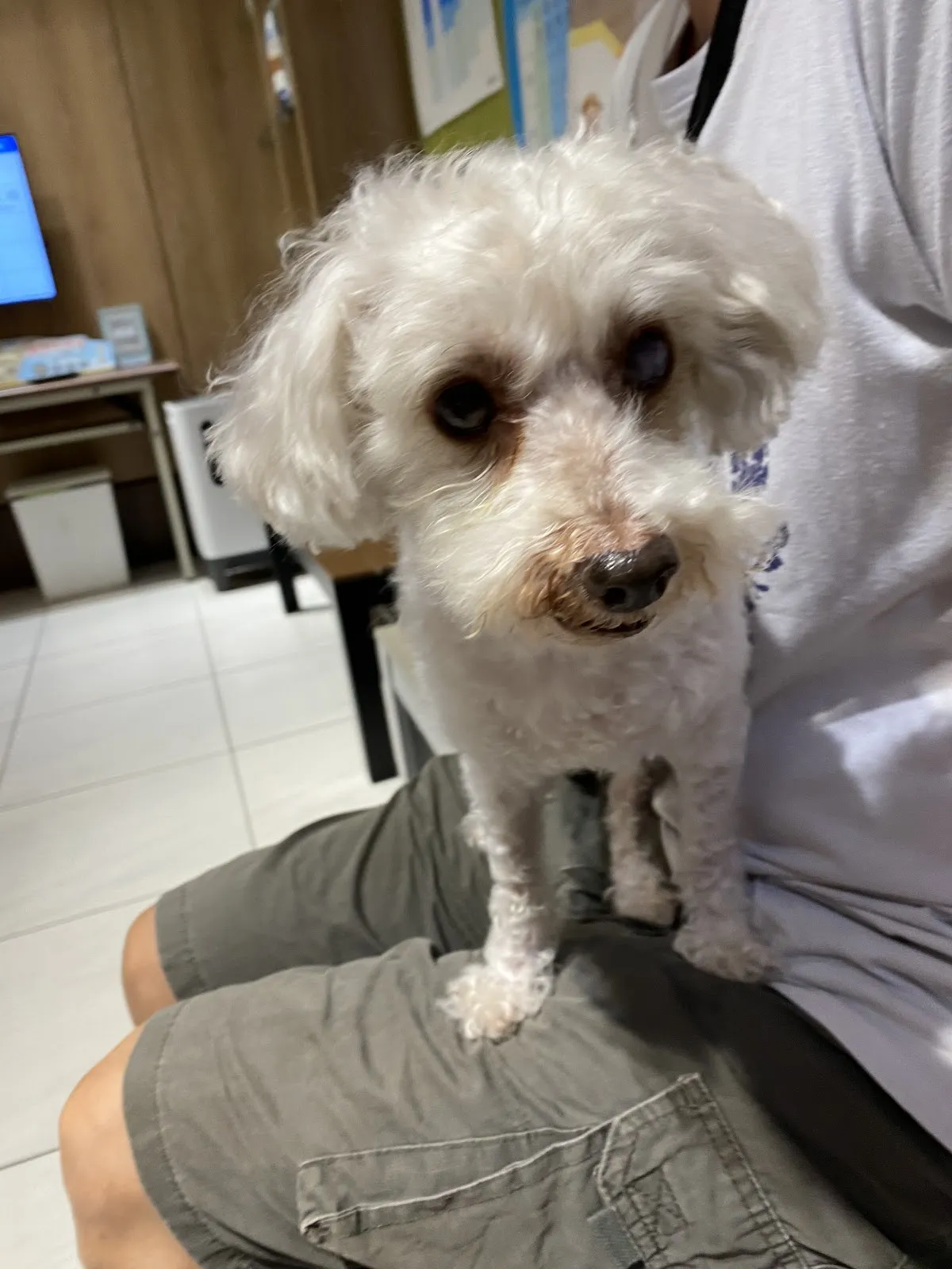 興旺動物醫院