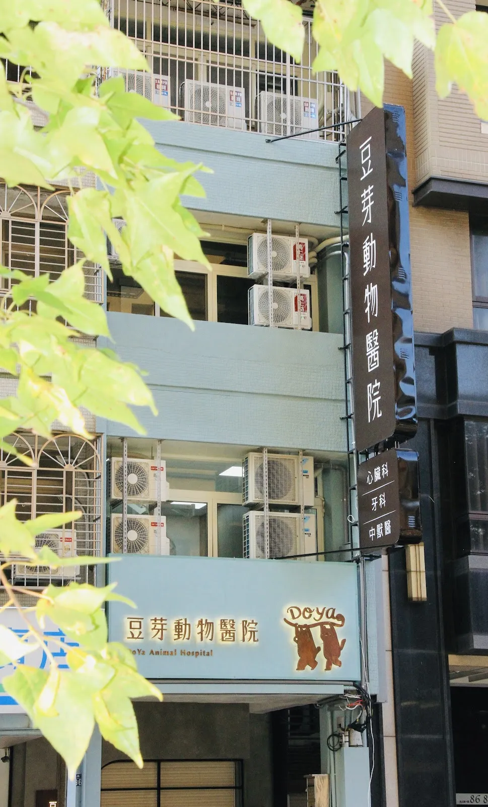 豆芽動物醫院