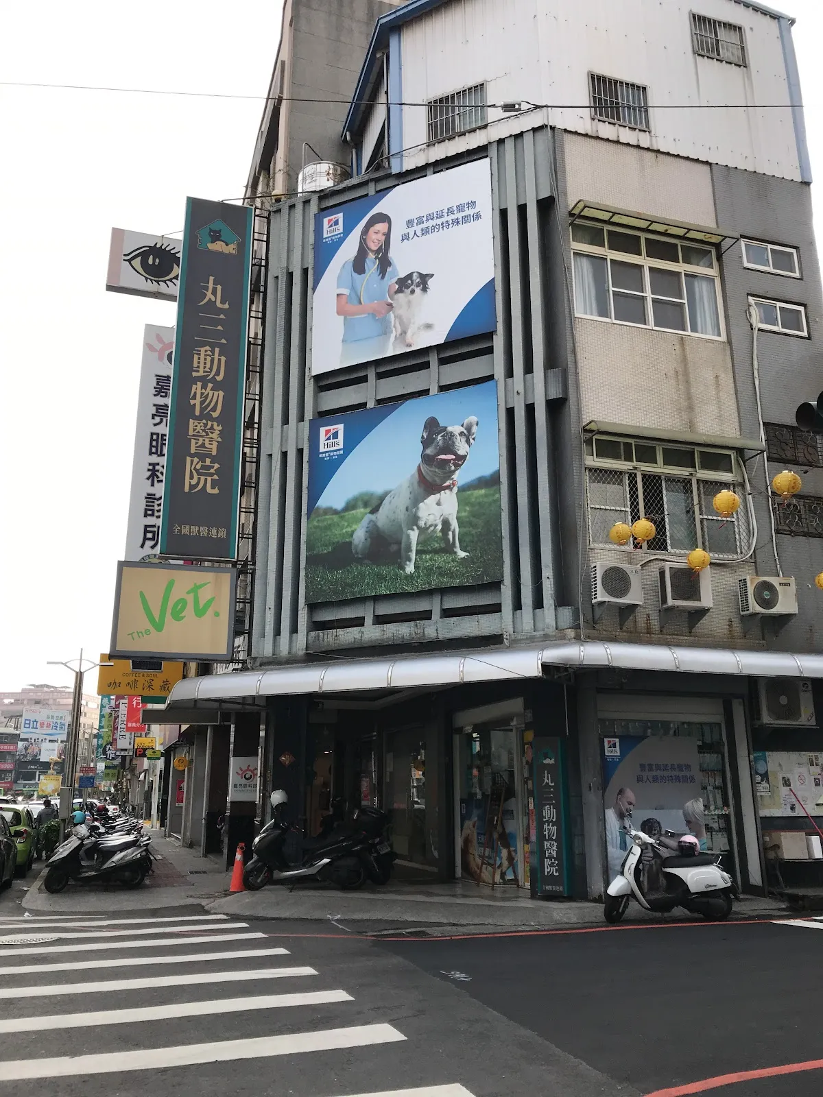 丸三動物醫院