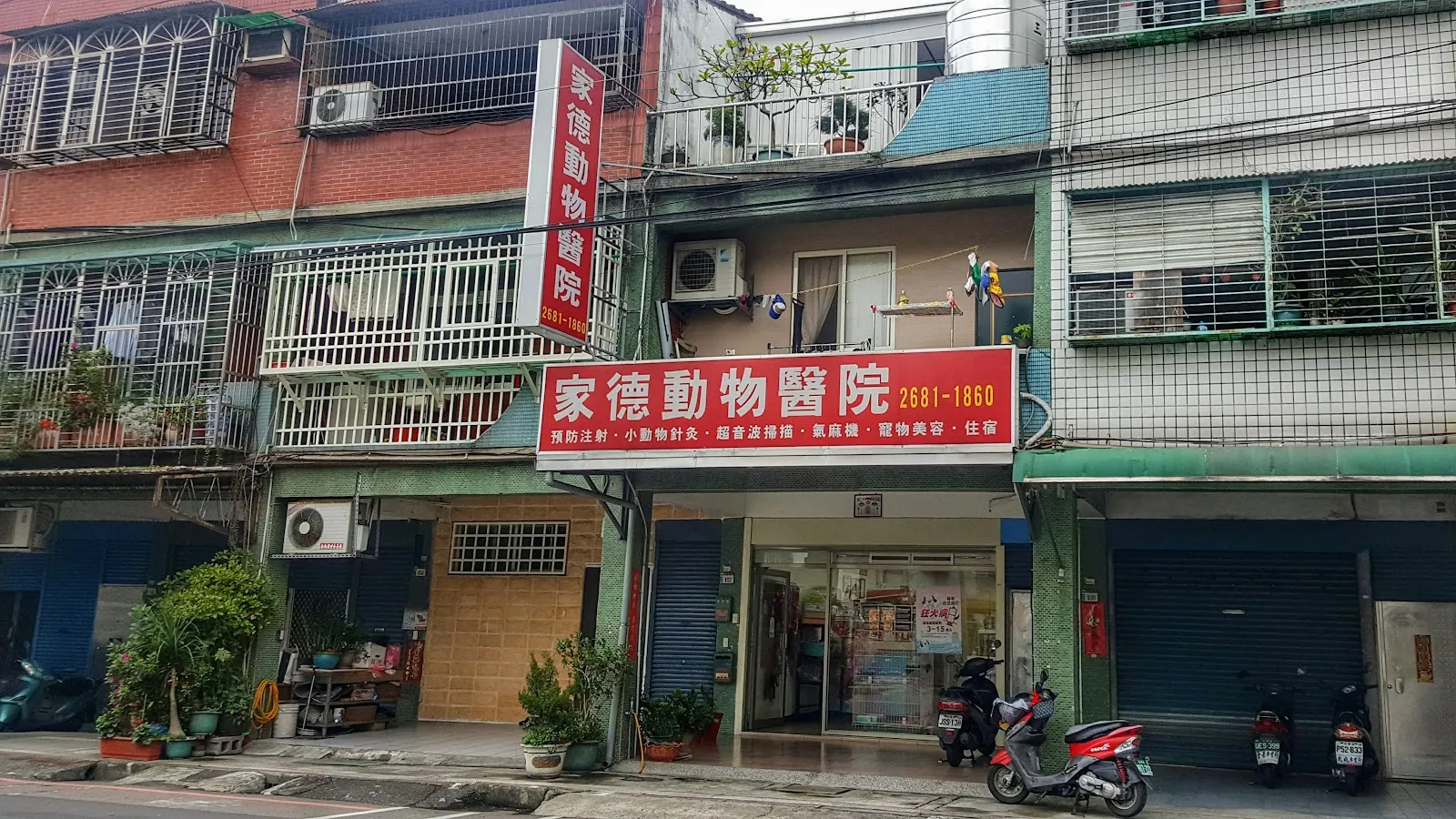 家德動物醫院