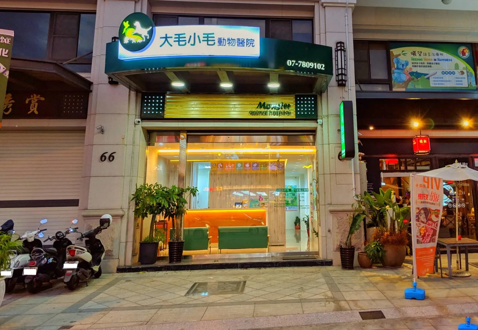 大毛小毛動物醫院