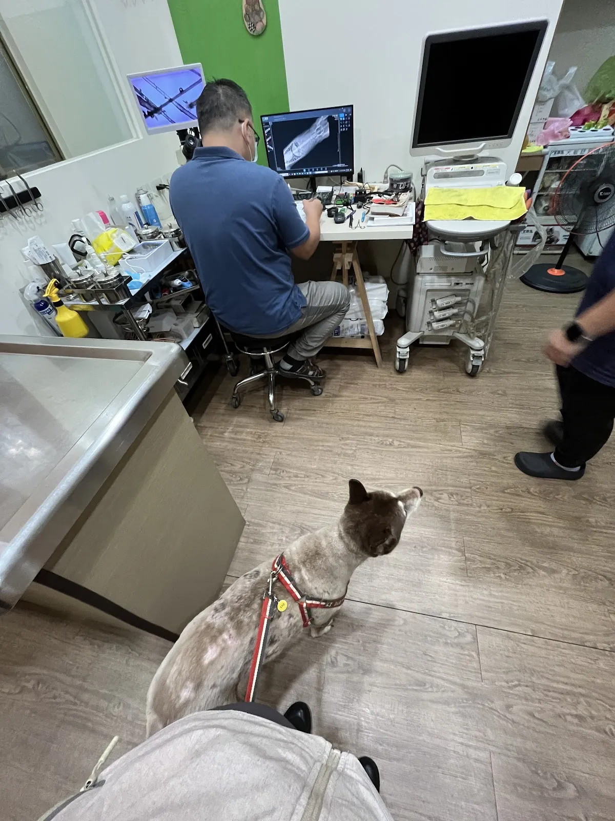 東林動物醫院