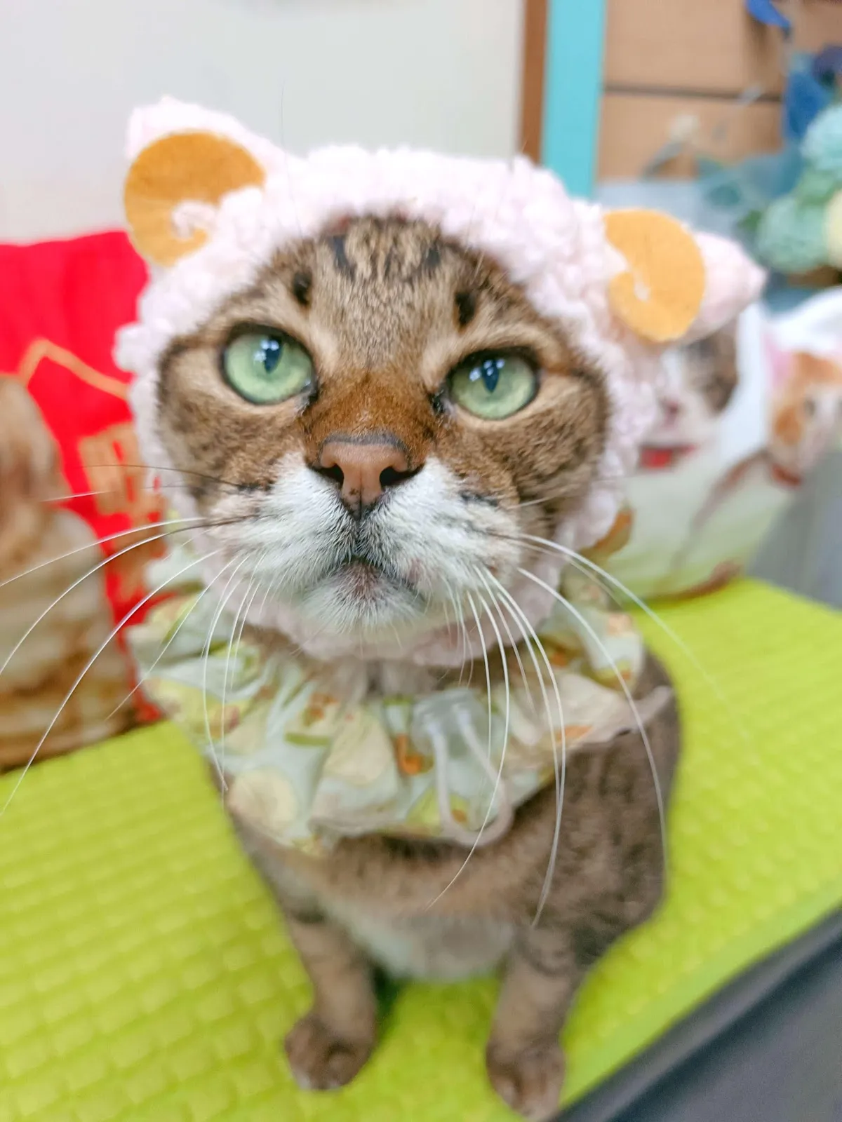 宏愛動物醫院