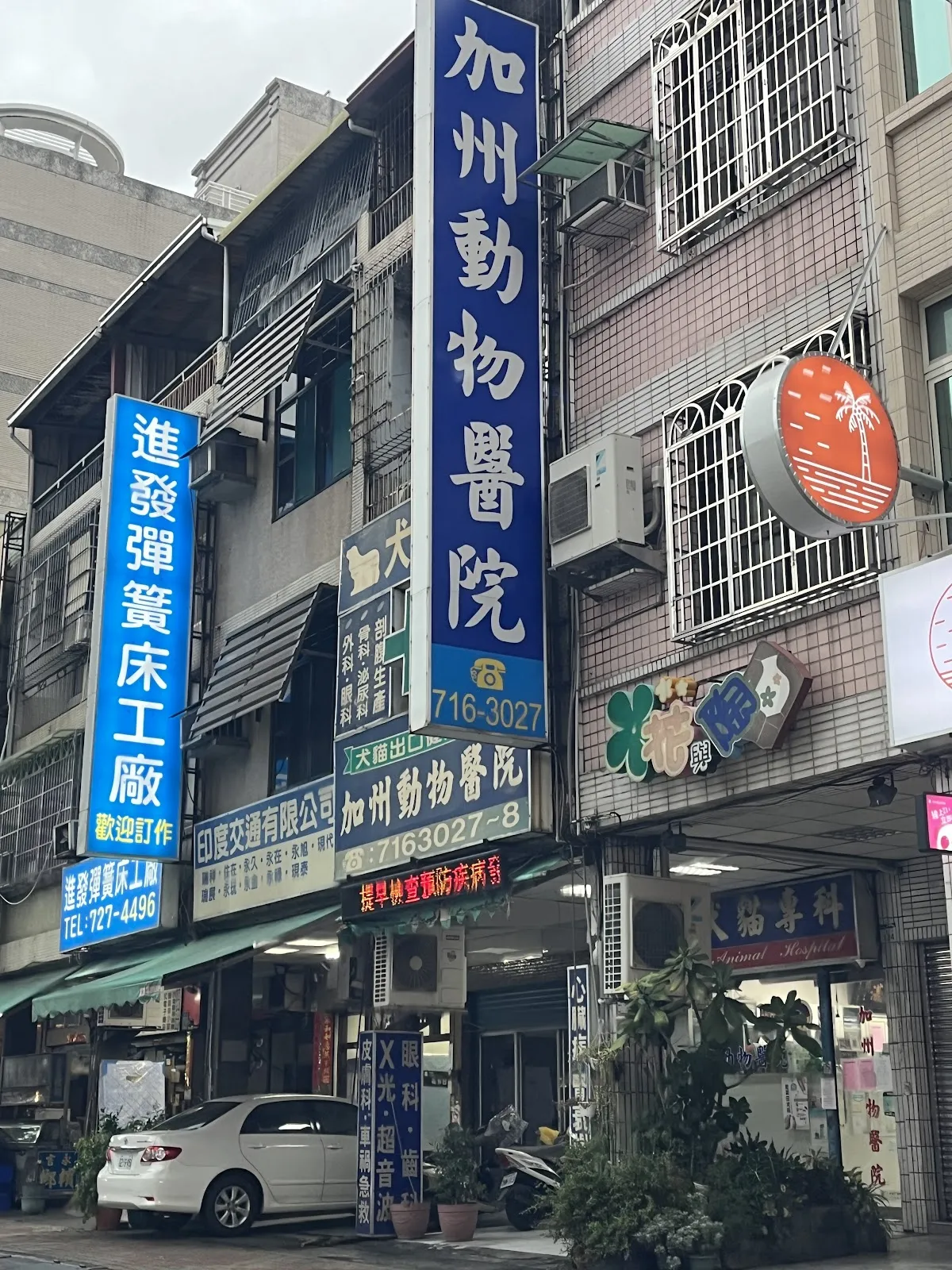 加州動物醫院