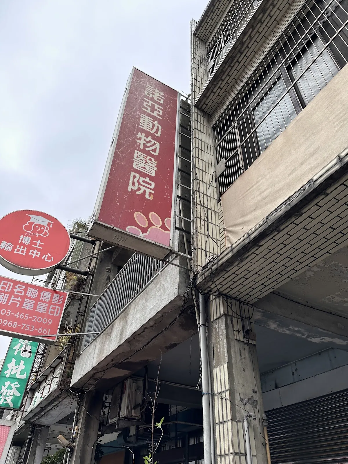 諾亞動物醫院