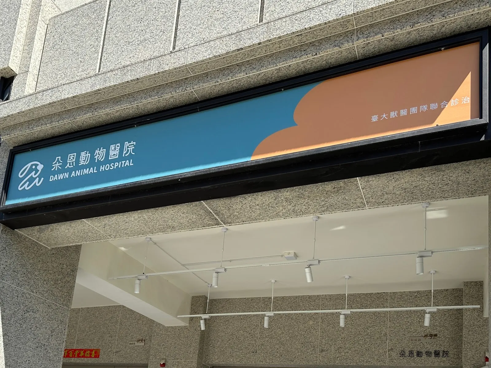 朵恩動物醫院