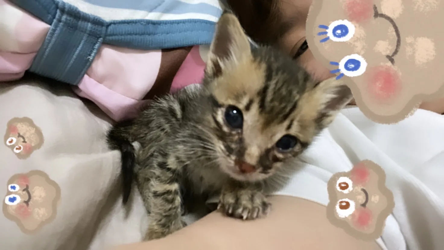 華生動物醫院