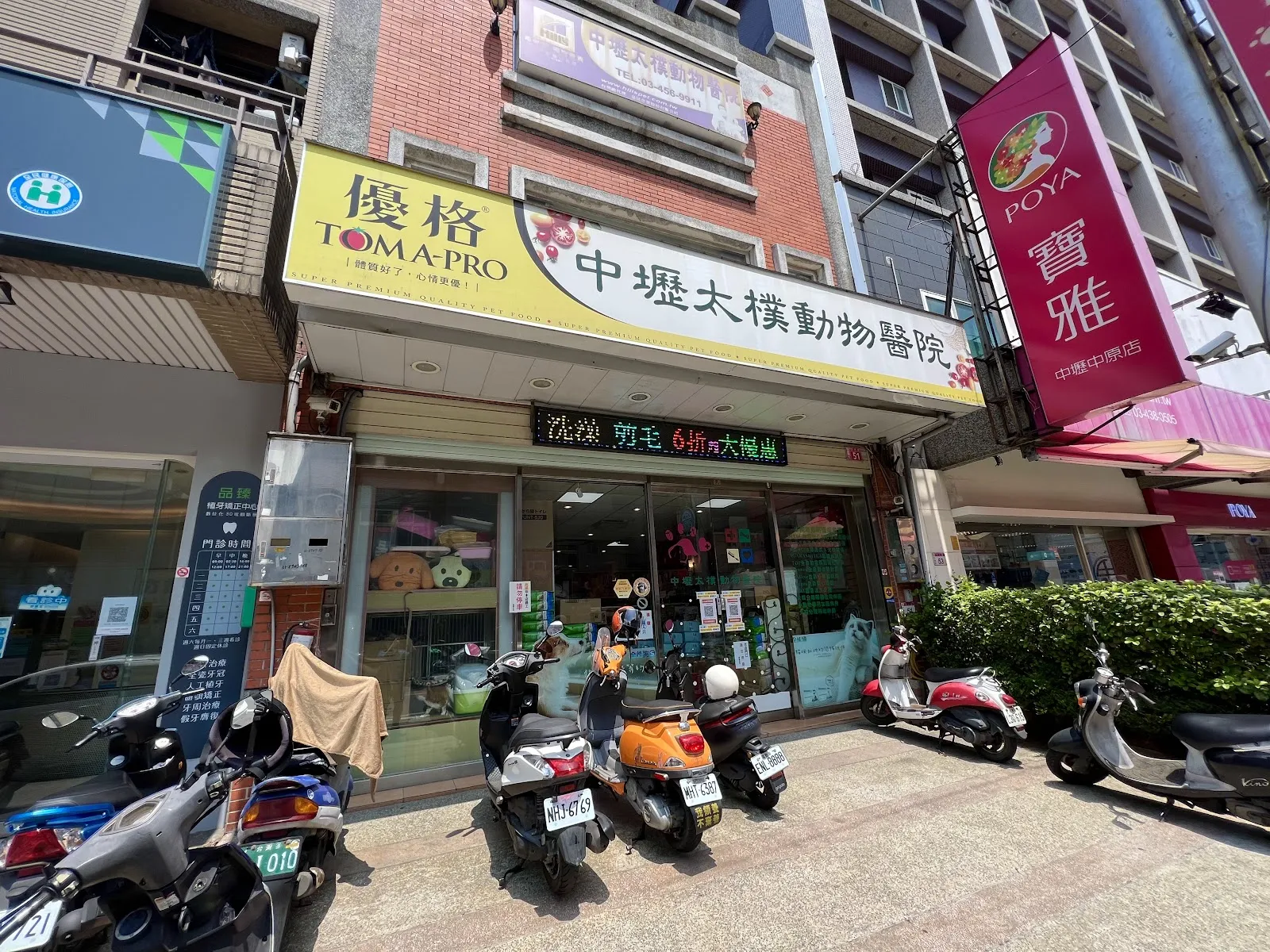 中壢太樸動物醫院
