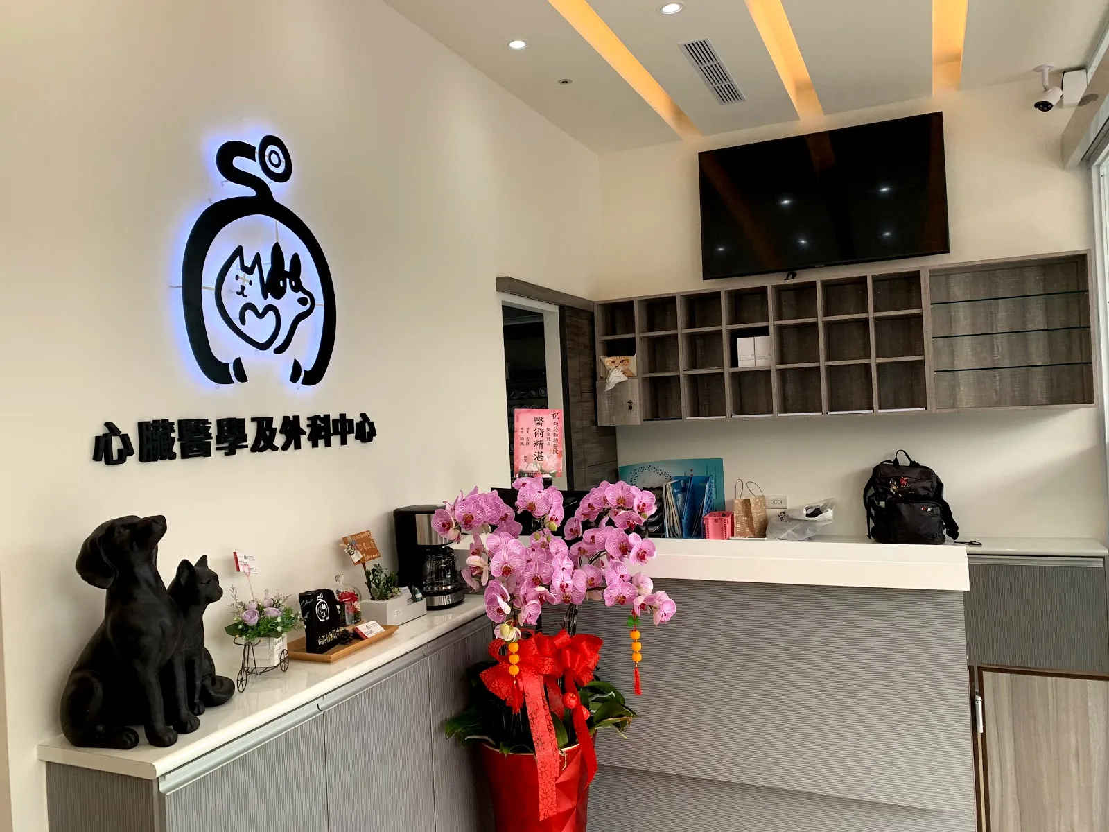 向芯動物醫院