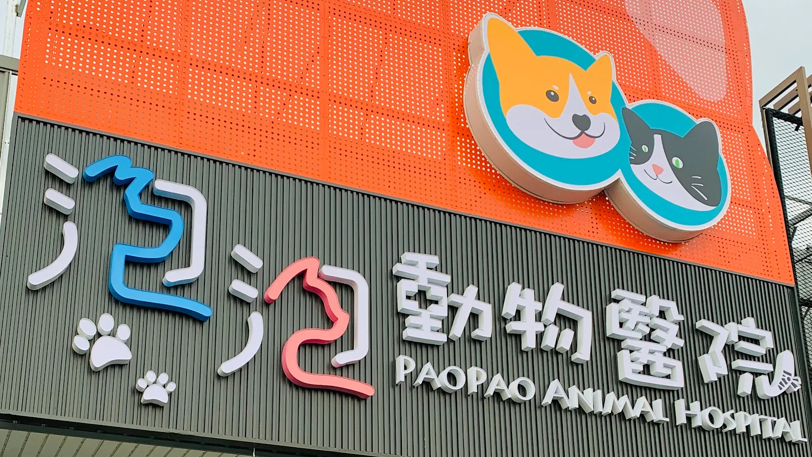 泡泡動物醫院