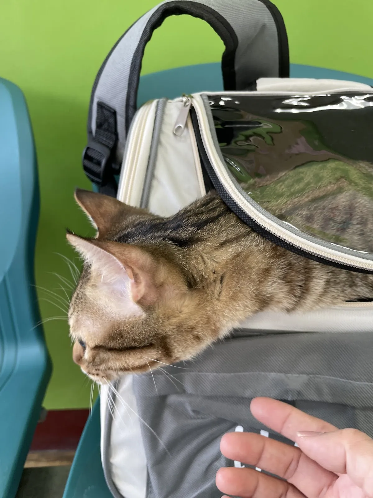 佳醫動物醫院