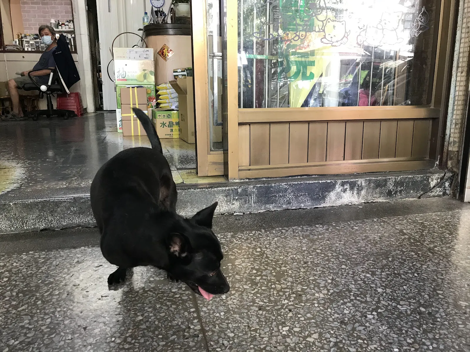 自強動物醫院