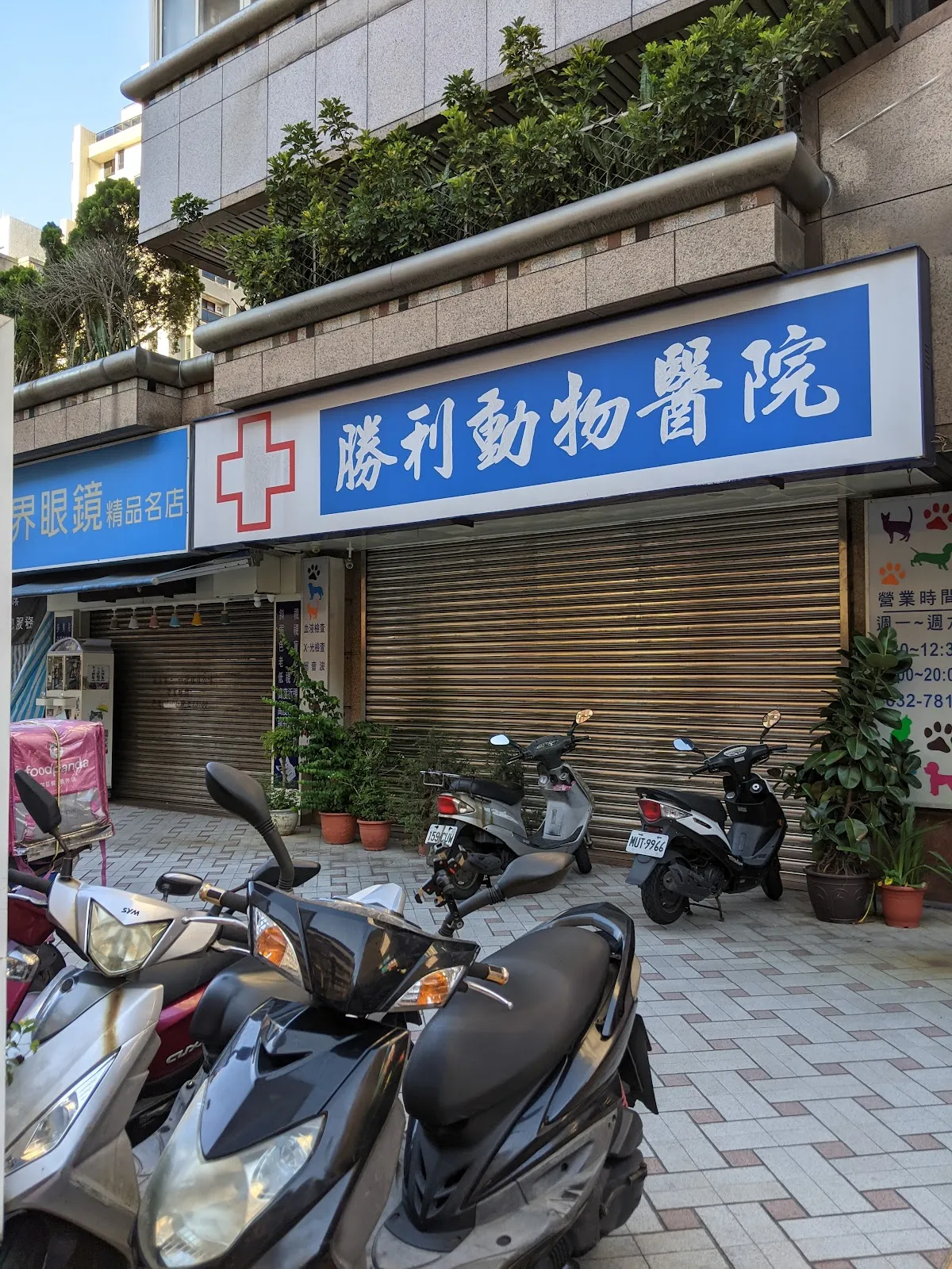 勝利動物醫院
