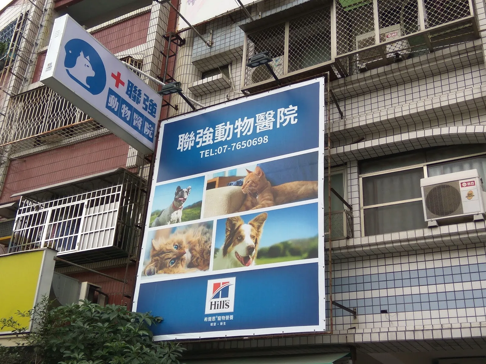 聯強動物醫院
