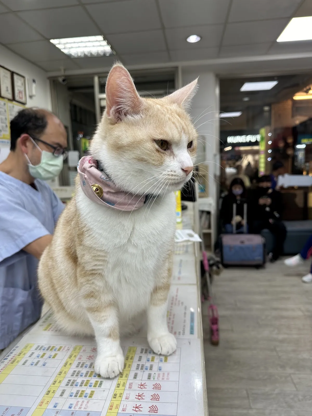 眾新動物醫院