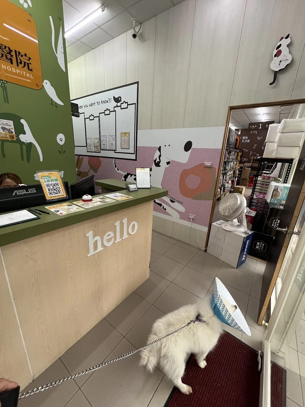 聯盟旗楠動物醫院