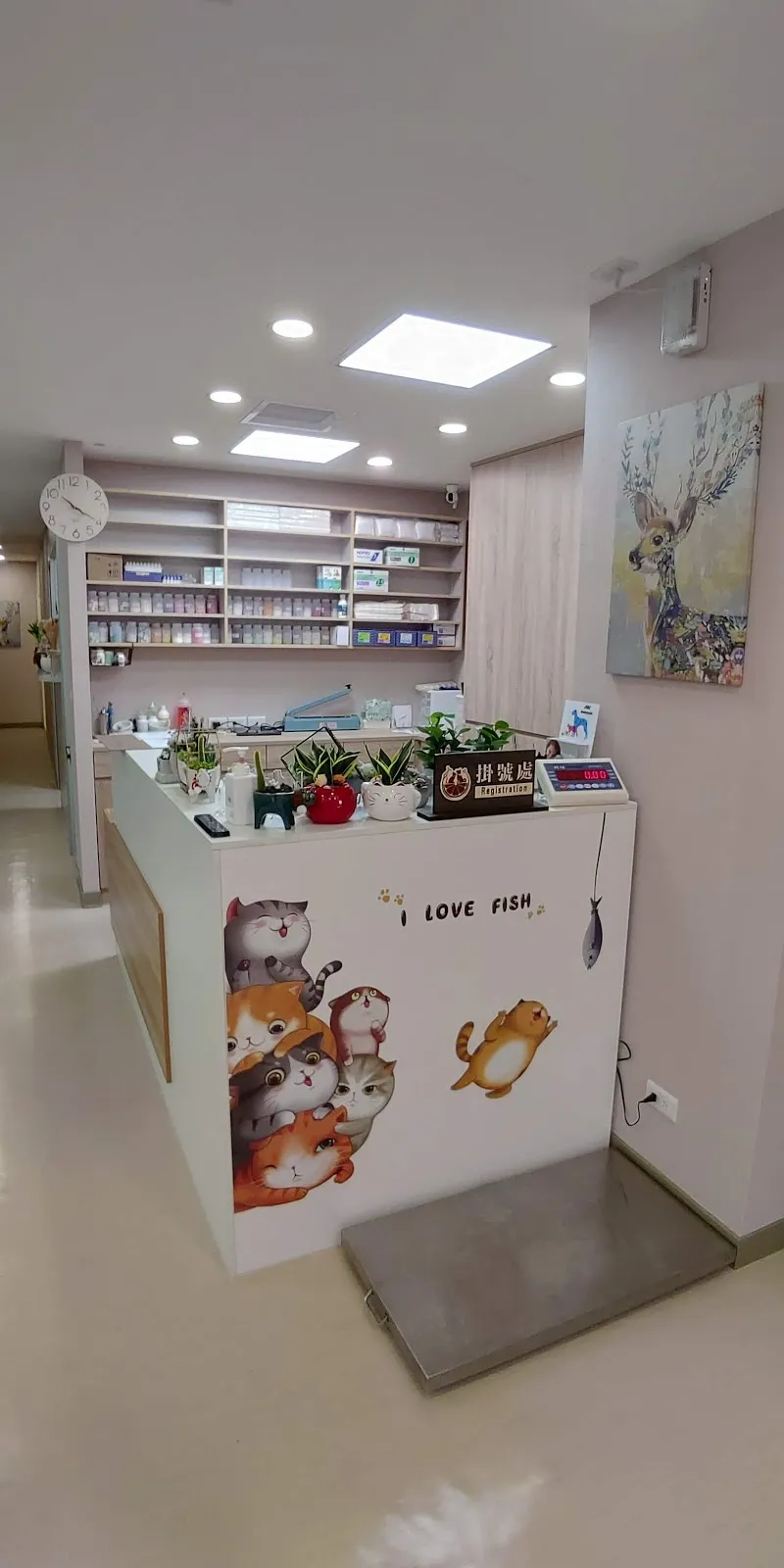 橙芯動物醫院