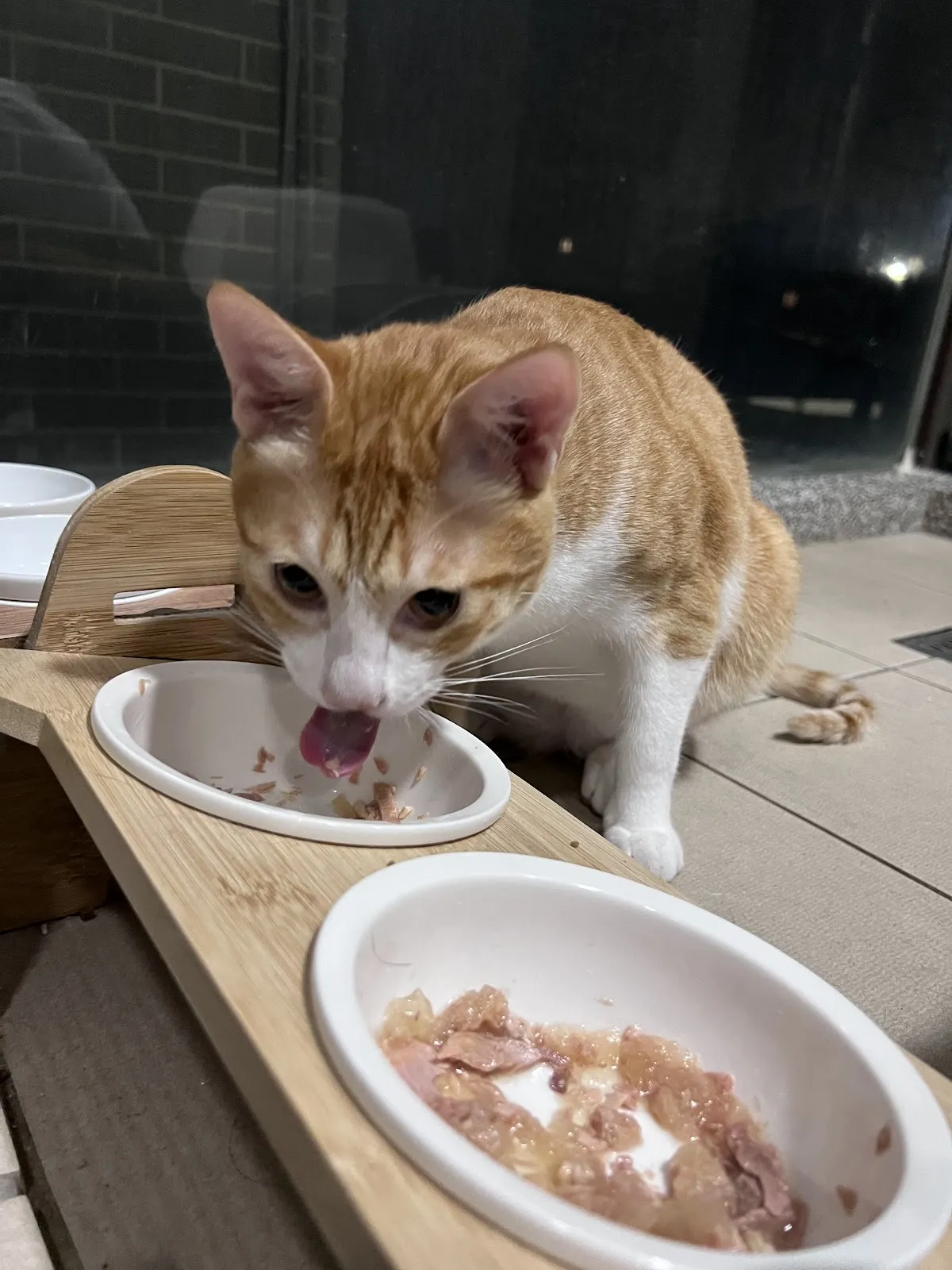 關心動物醫院