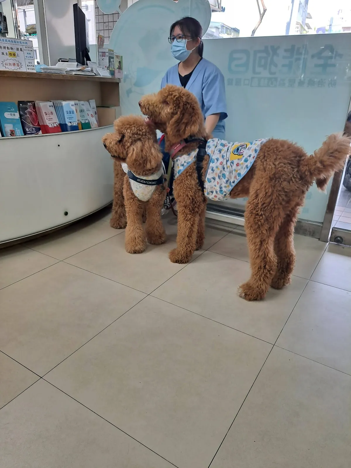 台安動物醫院