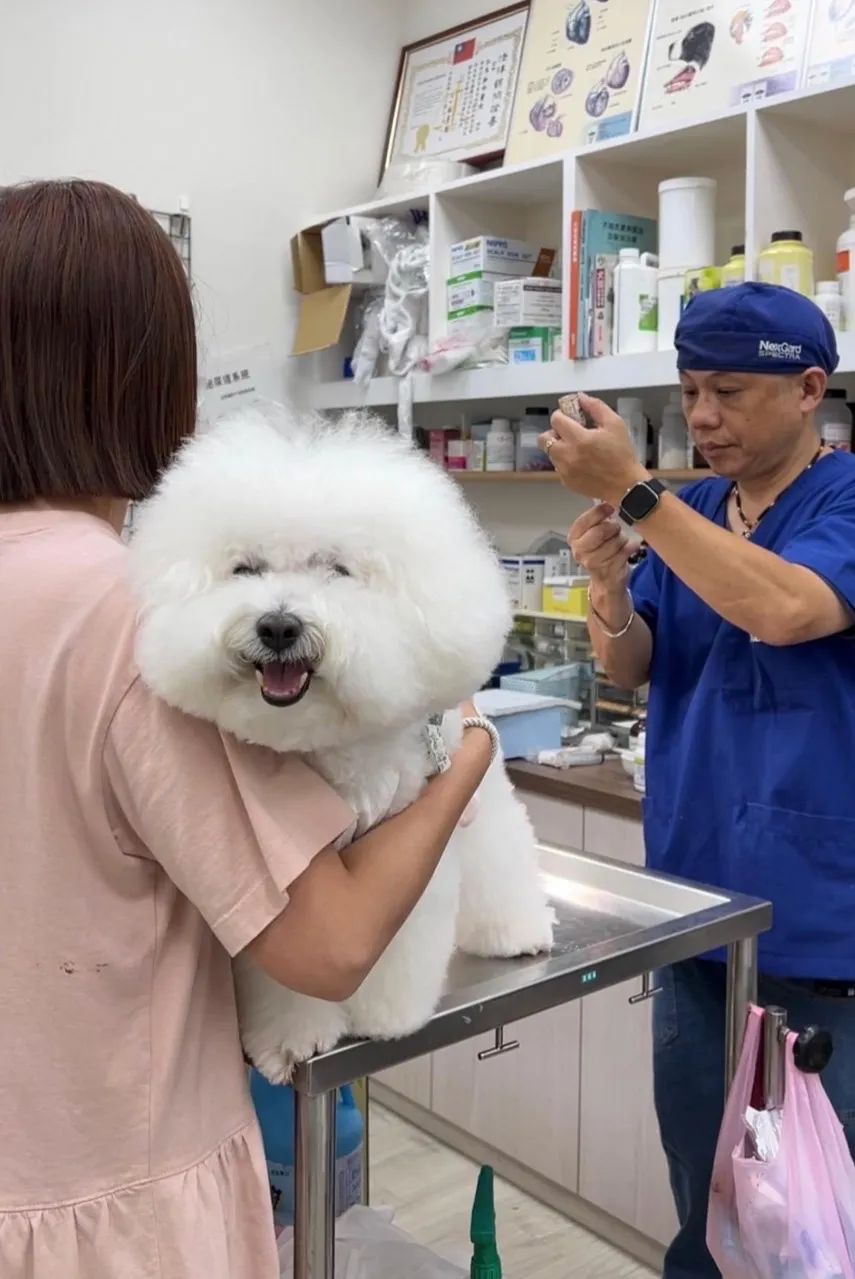 弘隼動物醫院