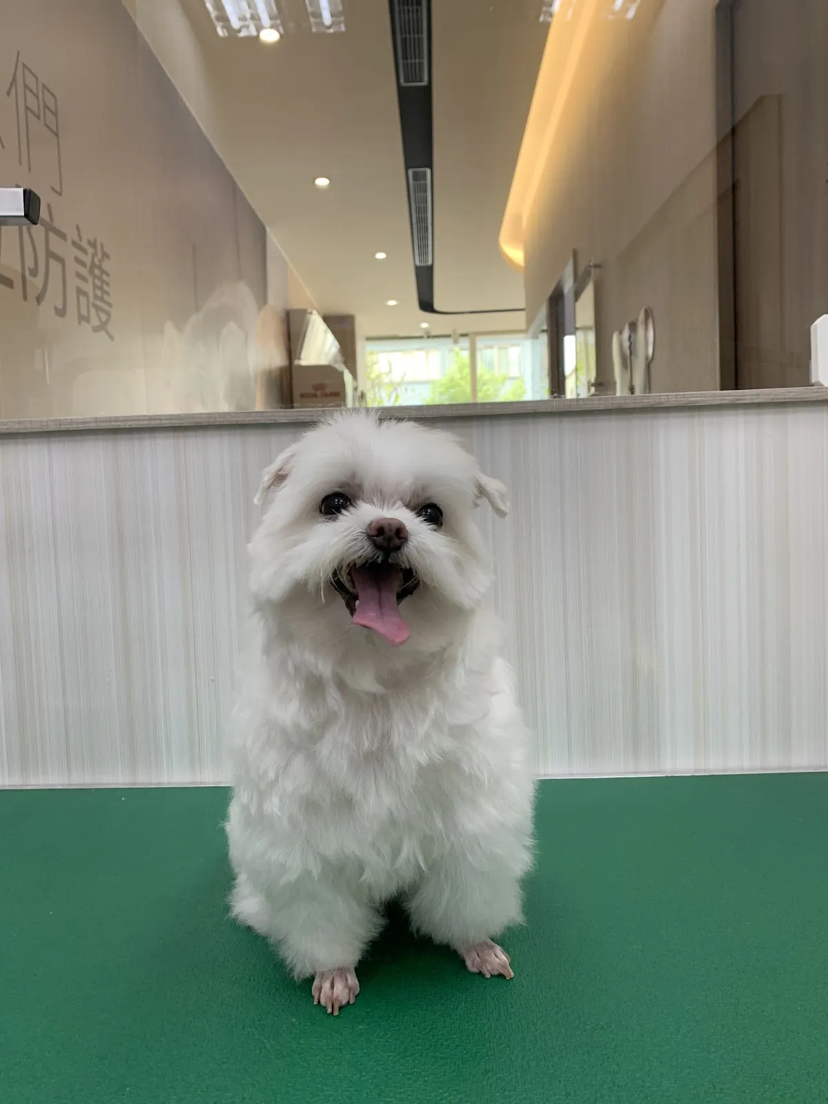 喜樂地動物醫院