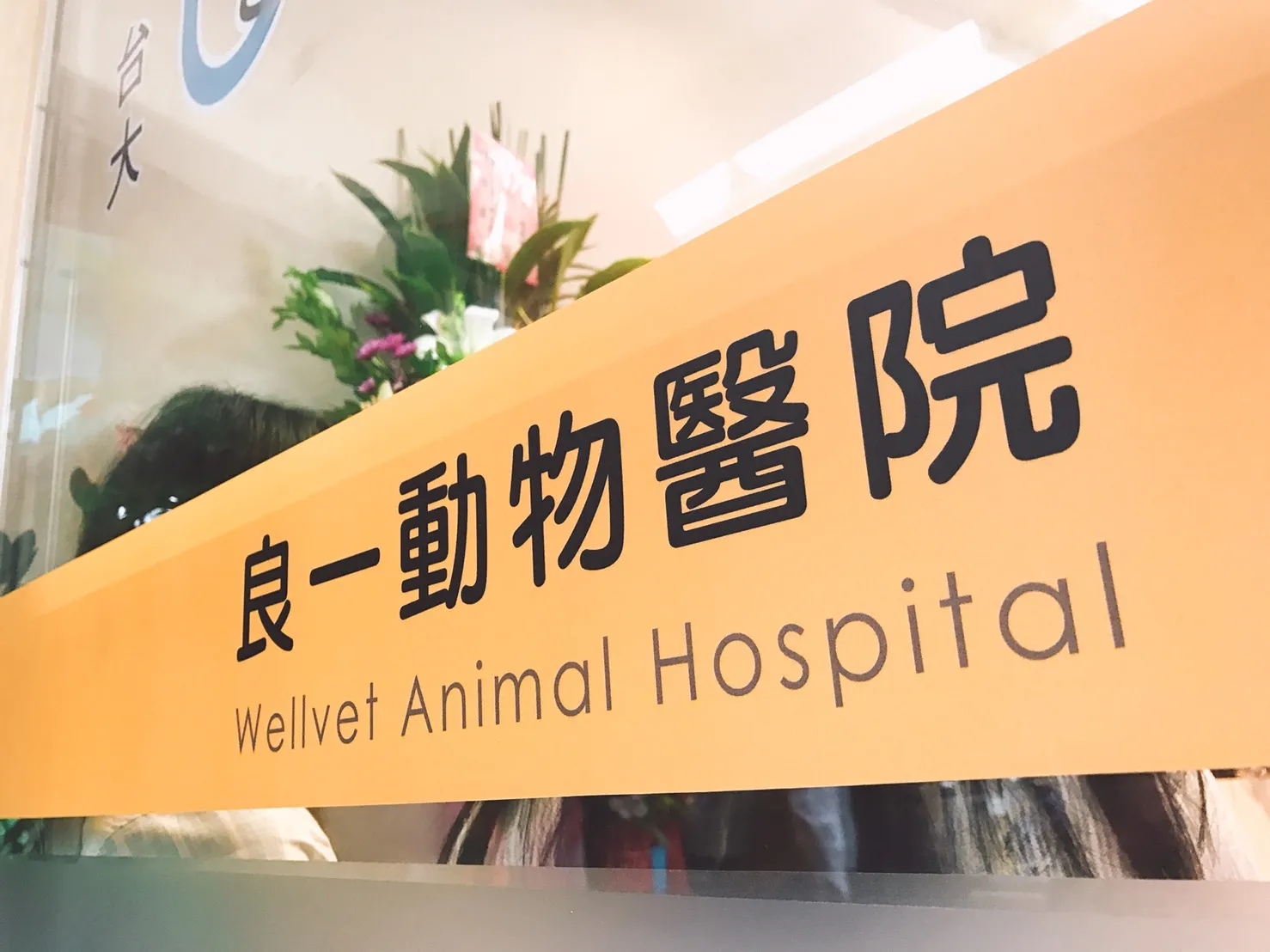 台大良一動物醫院