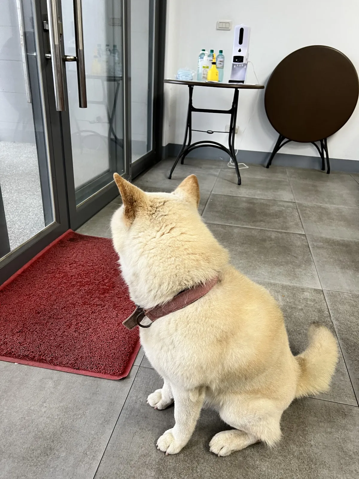 佑青動物醫院
