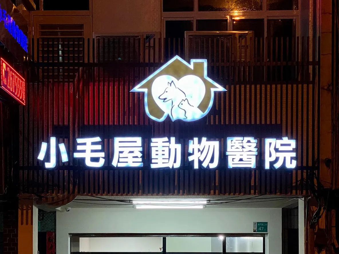 小毛屋動物醫院