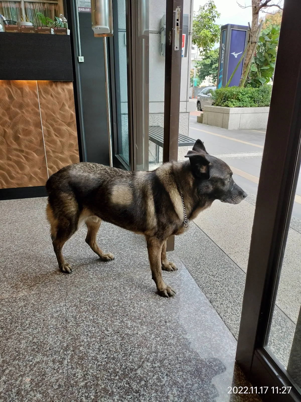 台大安欣動物醫院