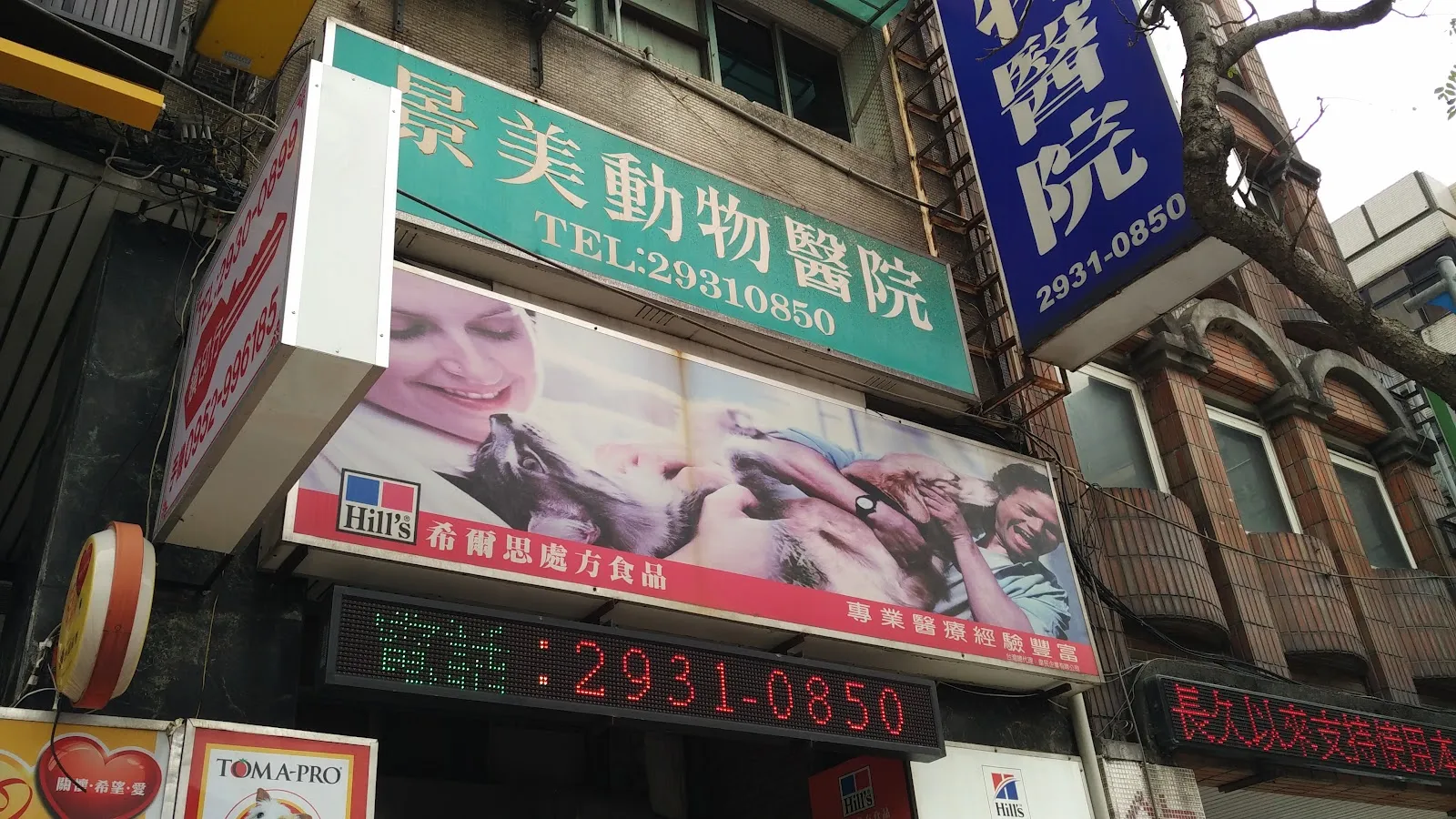 景美動物醫院