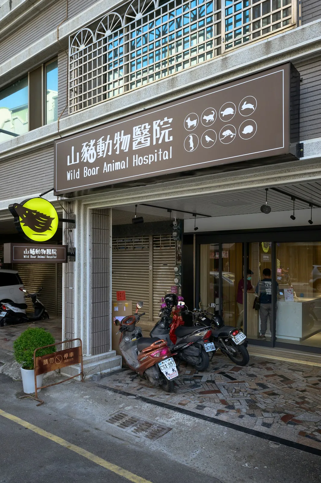 山豬動物醫院