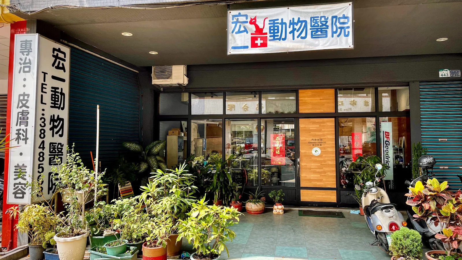宏一動物醫院