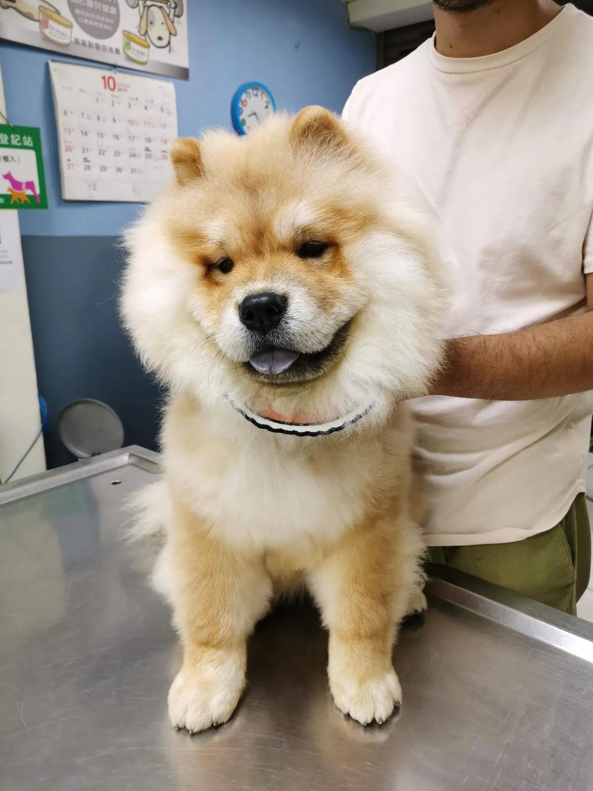 快樂動物醫院