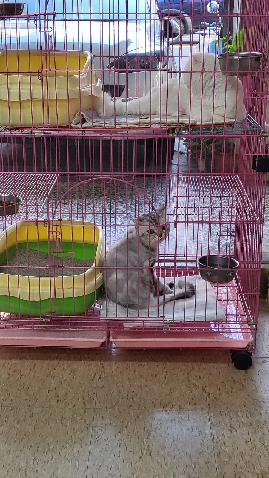 潮慶動物醫院