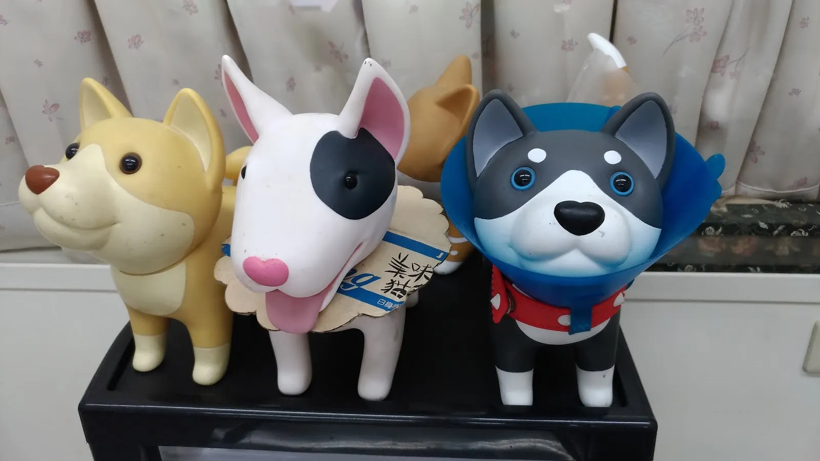 湯姆貓動物醫院