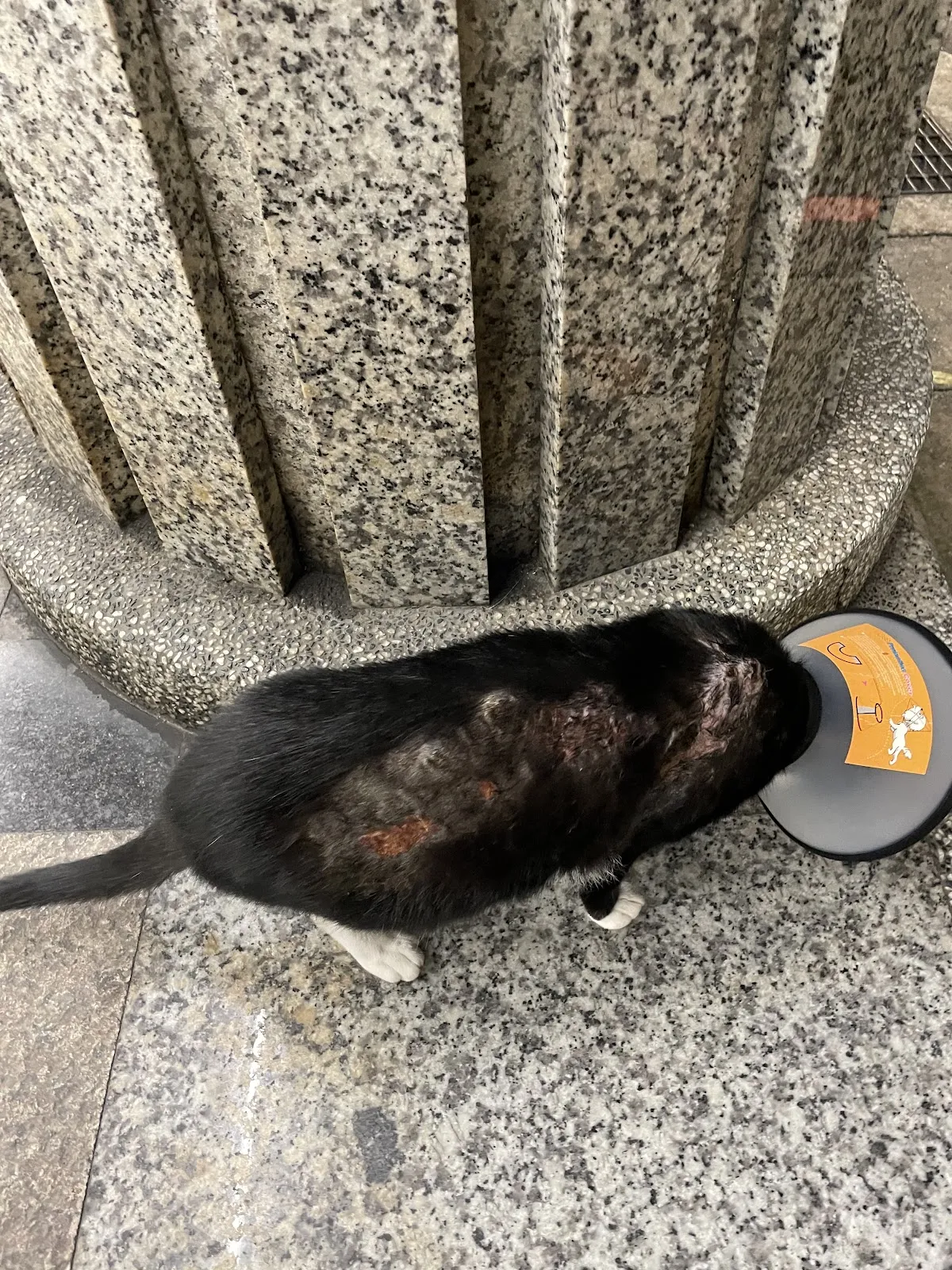 慈輝動物醫院