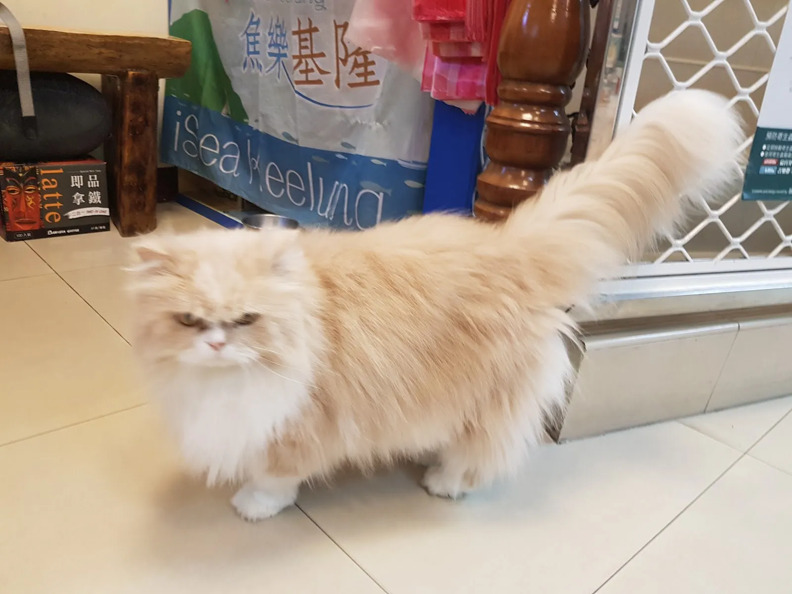 祥恩動物醫院