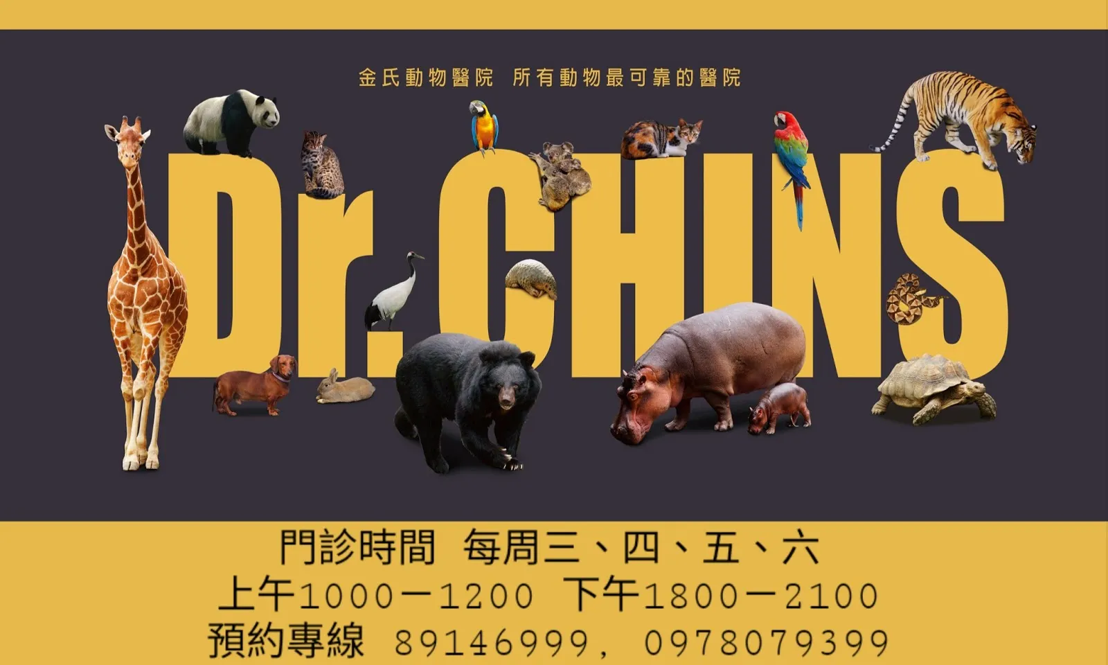 金氏動物醫院