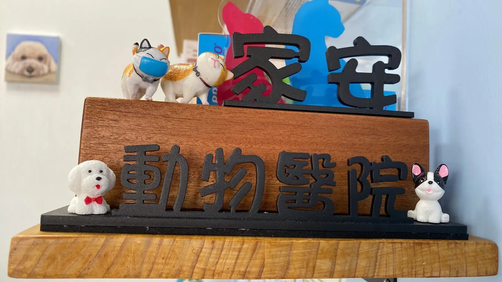 家安動物醫院