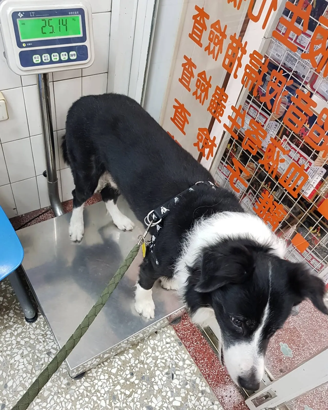 嘉惠動物醫院