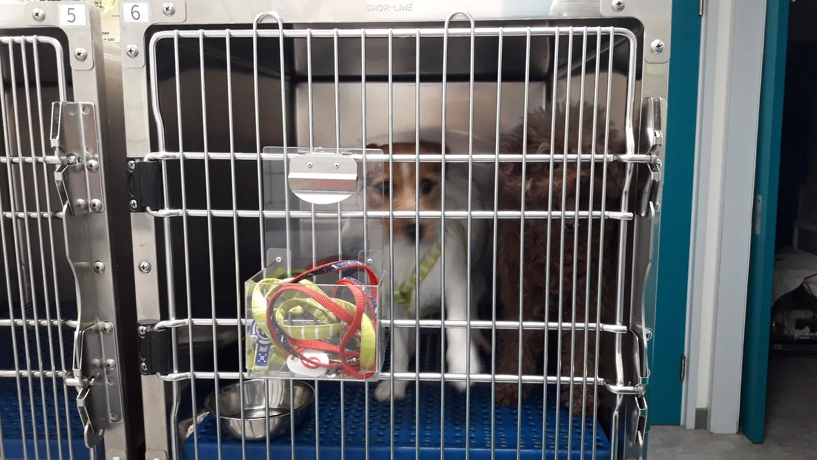 常源動物醫院