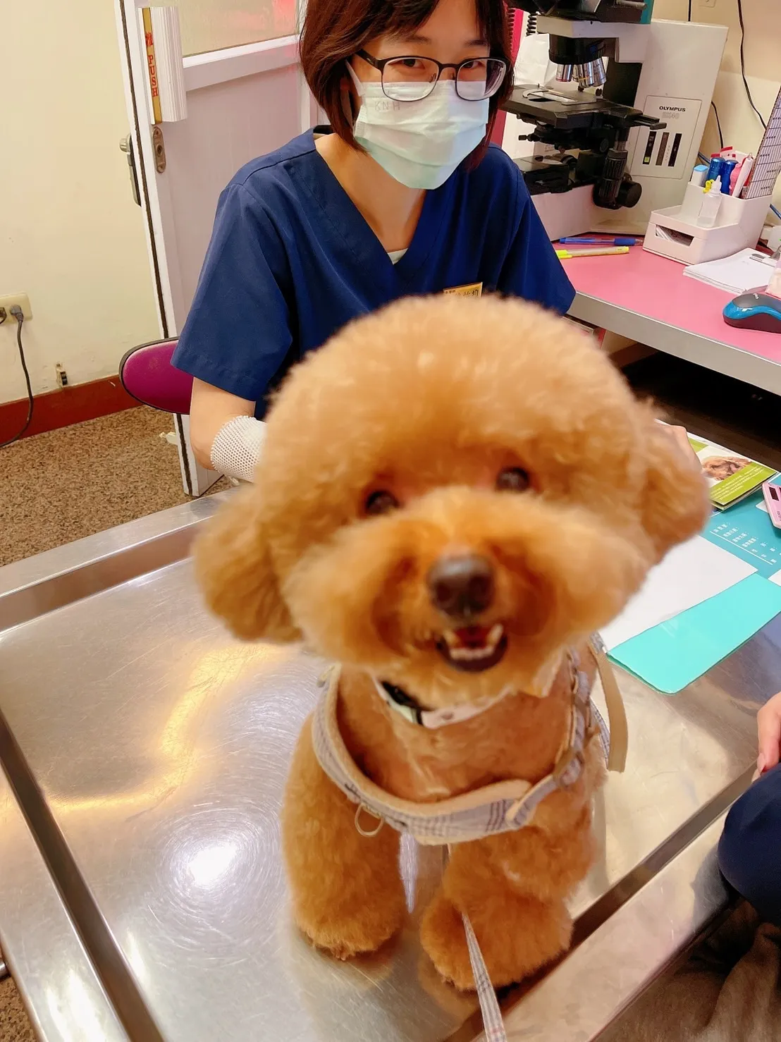長弘動物醫院