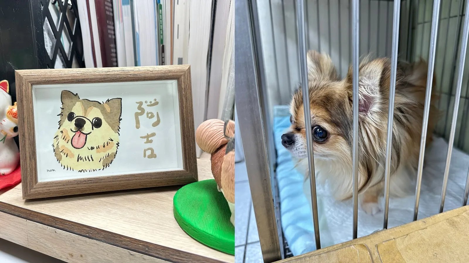 人人動物醫院